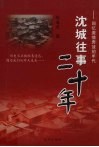 沈城往事20年：回忆激情奔放的年代 电子书封面