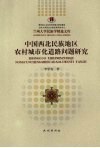 中国西北民族地区农村城市化道路问题研究