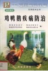 鸡鸭鹅疾病防治
