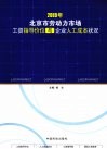北京市劳动力市场工资指导价位与企业人工成本状况  2009年封面