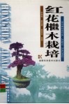 红机木栽培