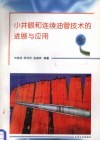小井眼和连续油管技术的进展与应用 封面