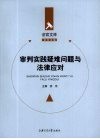 审判实践疑难问题与法律应对