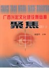 广西兴起文化建设新高潮聚焦  2010  上