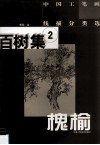 中国工笔画线描分类选  百树集  2  槐、榆