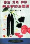 番茄、黄瓜、辣椒病虫害防治图册