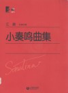 小奏鸣曲集  总审订版 封面