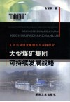 大型煤矿集团可持续发展战略 封面