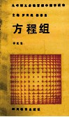 九年制义务教育初中数学读物  方程组 电子书封面