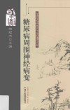 专病专科中医古今证治通览丛书  糖尿病周围神经病变