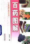 百药图解