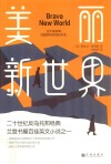 美丽新世界