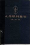 人体解剖图谱  普及本