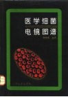 医学细菌电镜图谱