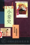 小妾史