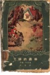 安静的森林