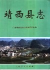 靖西县志
