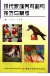 现代家庭养鸟驯鸟技巧与禁忌
