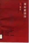 青年爱情诗