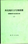 西北地区古生物图册  新疆维吾尔自治区分册  2  晚古生代