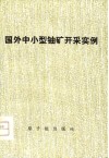 国外中小型轴矿开采实例