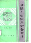 乡镇企业实用财务会计