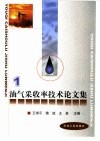 油气采收率技术论文集  1