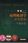 病理解剖学彩色图谱