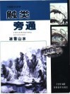 触类旁通  中国画技法新解  冰雪山水