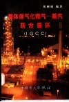 整体煤气化燃气－蒸汽联合循环 IGCC