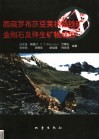 西藏罗布莎豆荚状铬铁矿、金刚石及伴生矿物成因
