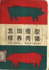 怎样饲养瘦肉型猪