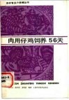 肉用仔鸡饲养56天