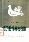 鸽子的饲养和食用