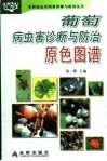 葡萄病虫害诊断与防治原色图谱