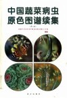 中国蔬菜病虫原色图谱续集  第2版