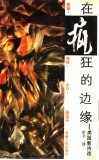 在疯狂的边缘  美国新诗选