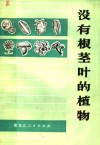 没有根茎叶的植物