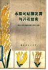 水稻的幼穗发育与开花结实