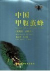中国甲腹茧蜂  膜翅目：茧蜂科