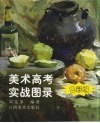 美术高考·实战图录  色彩编