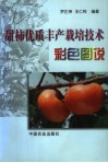 甜柿优质丰产栽培技术彩色图说