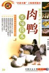 肉鸭养殖技术
