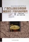 广西石山地区珍奇地质景观评价、开发与保护研究 封面