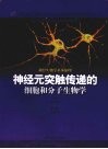 神经元突触传递的细胞和分子生物学  神经生物学基本原理