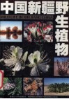 中国新疆野生植物
