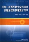 平禹一矿寒灰特大突水淹井灾害治理及快速复矿技术