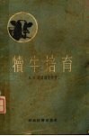 犊牛培育
