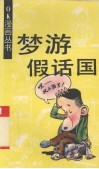 梦游假话国 封面