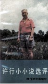 许行小小说选评 封面